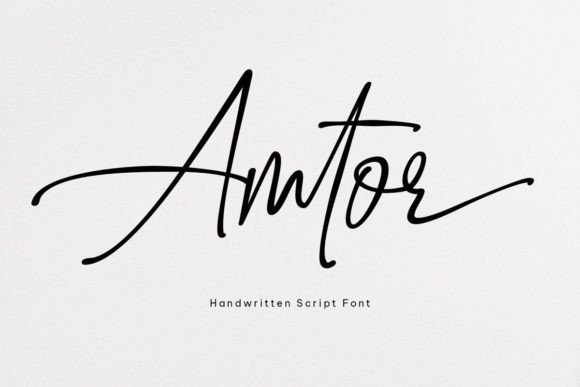 Amtor Font: Modern Script for Web Design