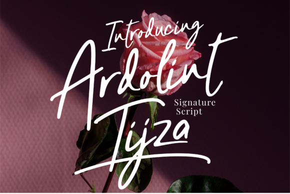 Ardolint Tijza: A Delicate Script for Creative Projects