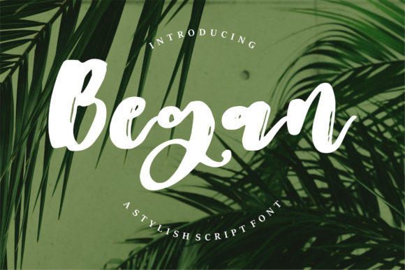 Began: A Delicate Script Font for Web Design