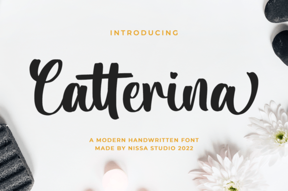 Catterina: A Script for Real Projects