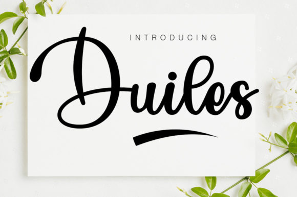 Duiles: A Stylish Script Font for Marketers