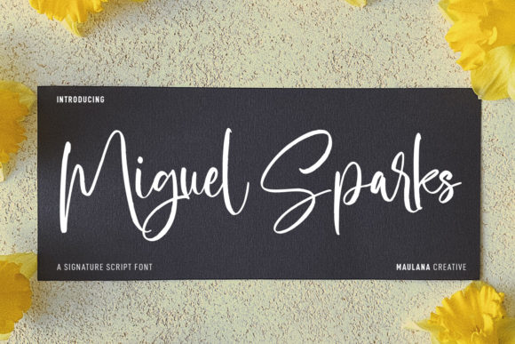 Miguel Sparks Review