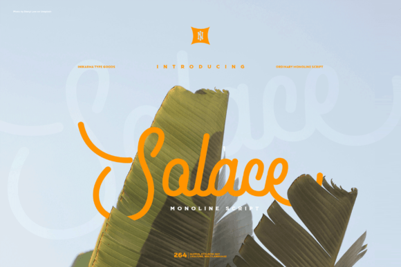 Solace: A Script Font for Web Design